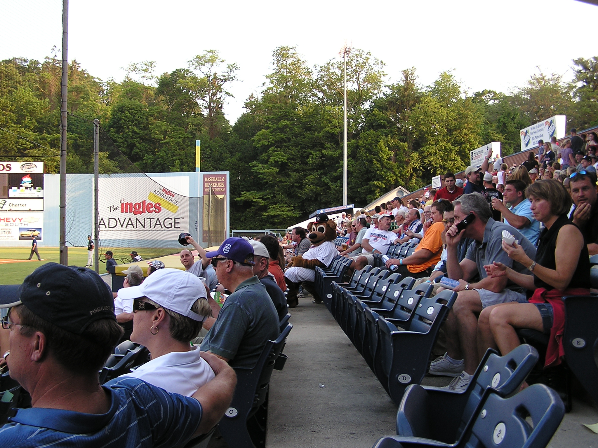 Ted E. Tourist taking in the game- Asheville