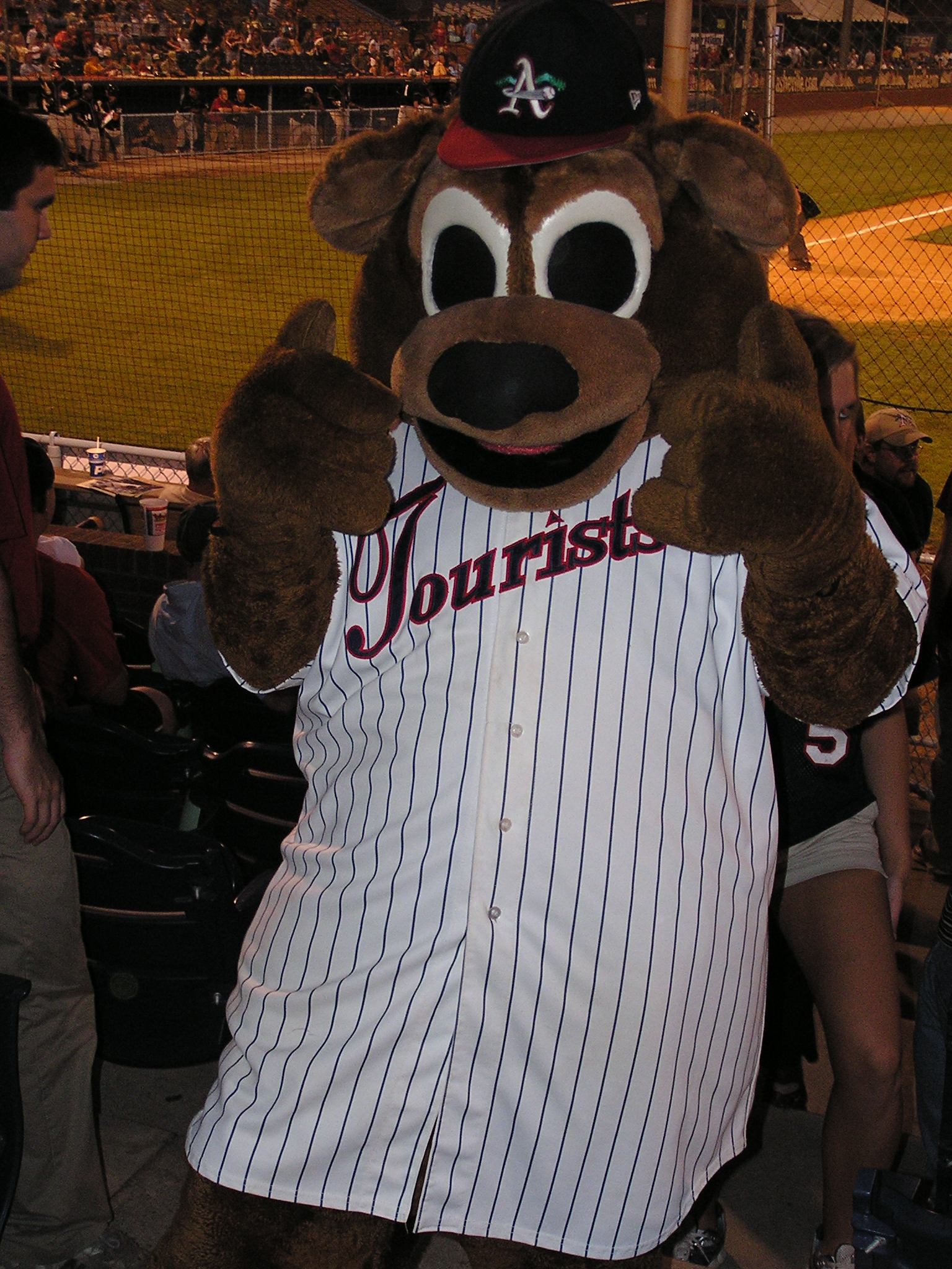 Ted E. Tourist, Asheville's mascot